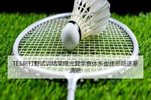 TES新打野试训结果曝光夏季赛体系重建思路逐渐清晰